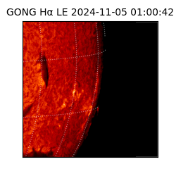 gong - 2024-11-05T01:00:42