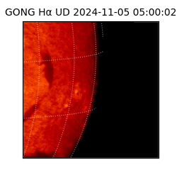 gong - 2024-11-05T05:00:02