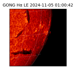 gong - 2024-11-05T01:00:42