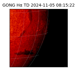 gong - 2024-11-05T08:15:22