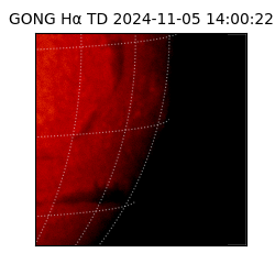 gong - 2024-11-05T14:00:22