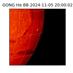 gong - 2024-11-05T20:00:02