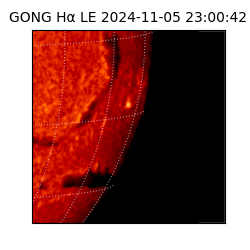 gong - 2024-11-05T23:00:42