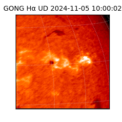 gong - 2024-11-05T10:00:02