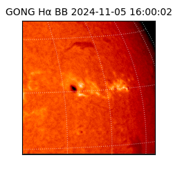 gong - 2024-11-05T16:00:02