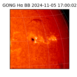 gong - 2024-11-05T17:00:02