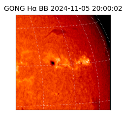 gong - 2024-11-05T20:00:02