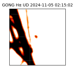 gong - 2024-11-05T02:15:02