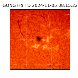 gong - 2024-11-05T08:15:22