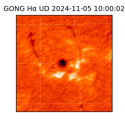 gong - 2024-11-05T10:00:02