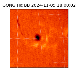 gong - 2024-11-05T18:00:02