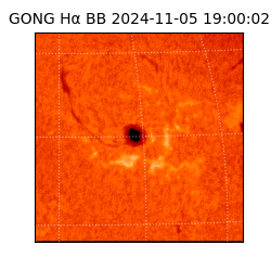 gong - 2024-11-05T19:00:02