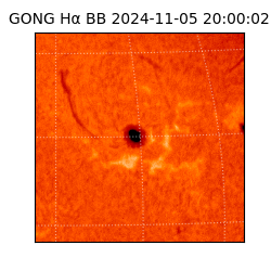 gong - 2024-11-05T20:00:02