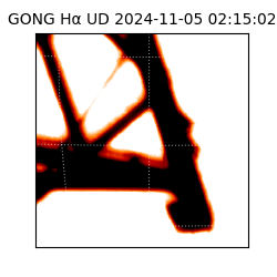 gong - 2024-11-05T02:15:02