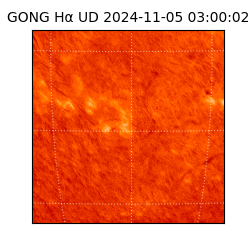 gong - 2024-11-05T03:00:02