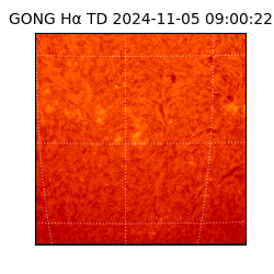 gong - 2024-11-05T09:00:22