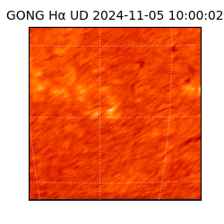 gong - 2024-11-05T10:00:02