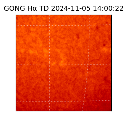 gong - 2024-11-05T14:00:22