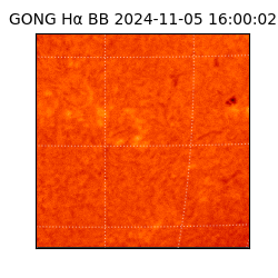 gong - 2024-11-05T16:00:02