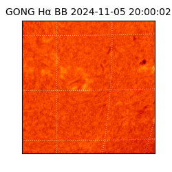 gong - 2024-11-05T20:00:02