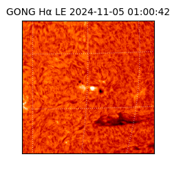 gong - 2024-11-05T01:00:42