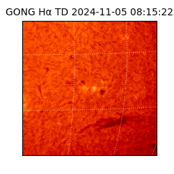 gong - 2024-11-05T08:15:22