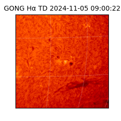 gong - 2024-11-05T09:00:22