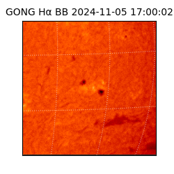 gong - 2024-11-05T17:00:02