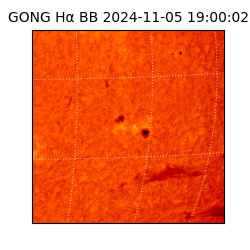 gong - 2024-11-05T19:00:02