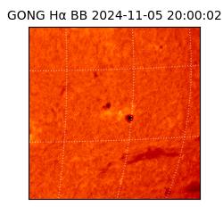 gong - 2024-11-05T20:00:02