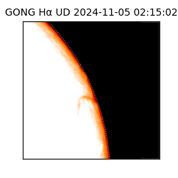 gong - 2024-11-05T02:15:02