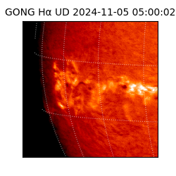 gong - 2024-11-05T05:00:02