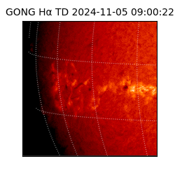 gong - 2024-11-05T09:00:22