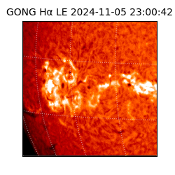 gong - 2024-11-05T23:00:42
