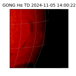 gong - 2024-11-05T14:00:22