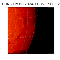 gong - 2024-11-05T17:00:02