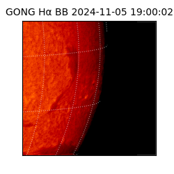 gong - 2024-11-05T19:00:02