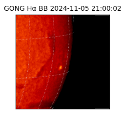 gong - 2024-11-05T21:00:02