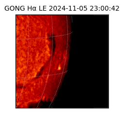 gong - 2024-11-05T23:00:42