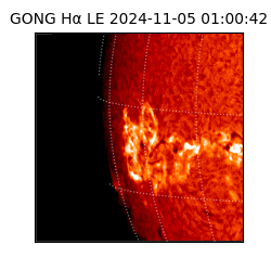 gong - 2024-11-05T01:00:42