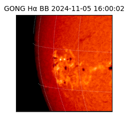 gong - 2024-11-05T16:00:02