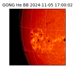 gong - 2024-11-05T17:00:02