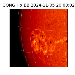 gong - 2024-11-05T20:00:02