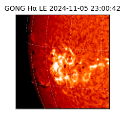 gong - 2024-11-05T23:00:42