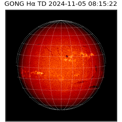 gong - 2024-11-05T08:15:22