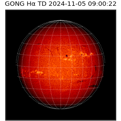 gong - 2024-11-05T09:00:22