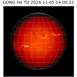 gong - 2024-11-05T14:00:22