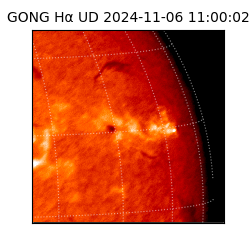 gong - 2024-11-06T11:00:02