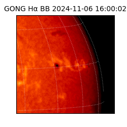 gong - 2024-11-06T16:00:02