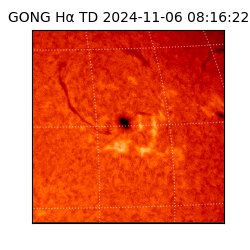 gong - 2024-11-06T08:16:22